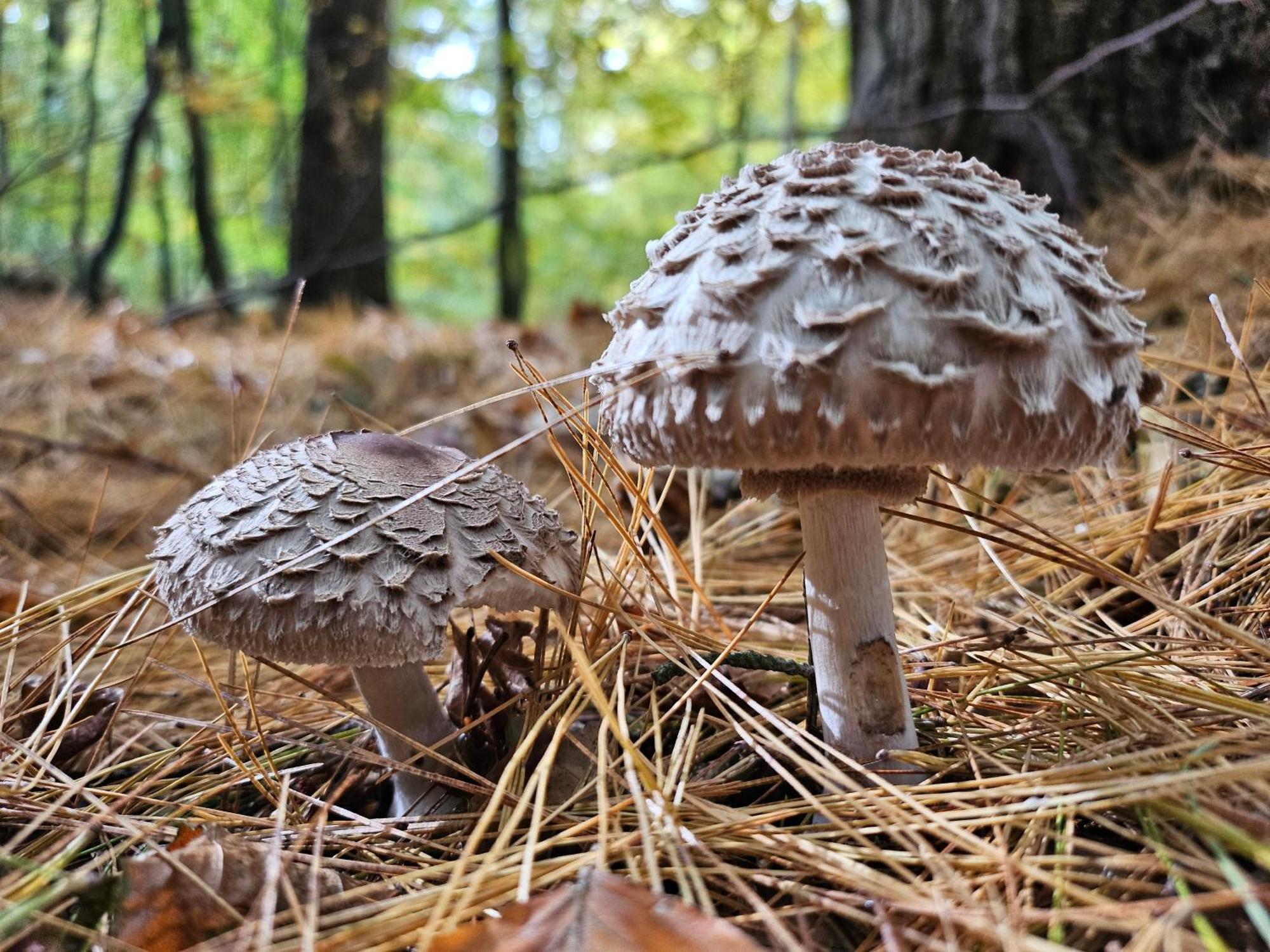 Fewo Am Wald Boek ภายนอก รูปภาพ