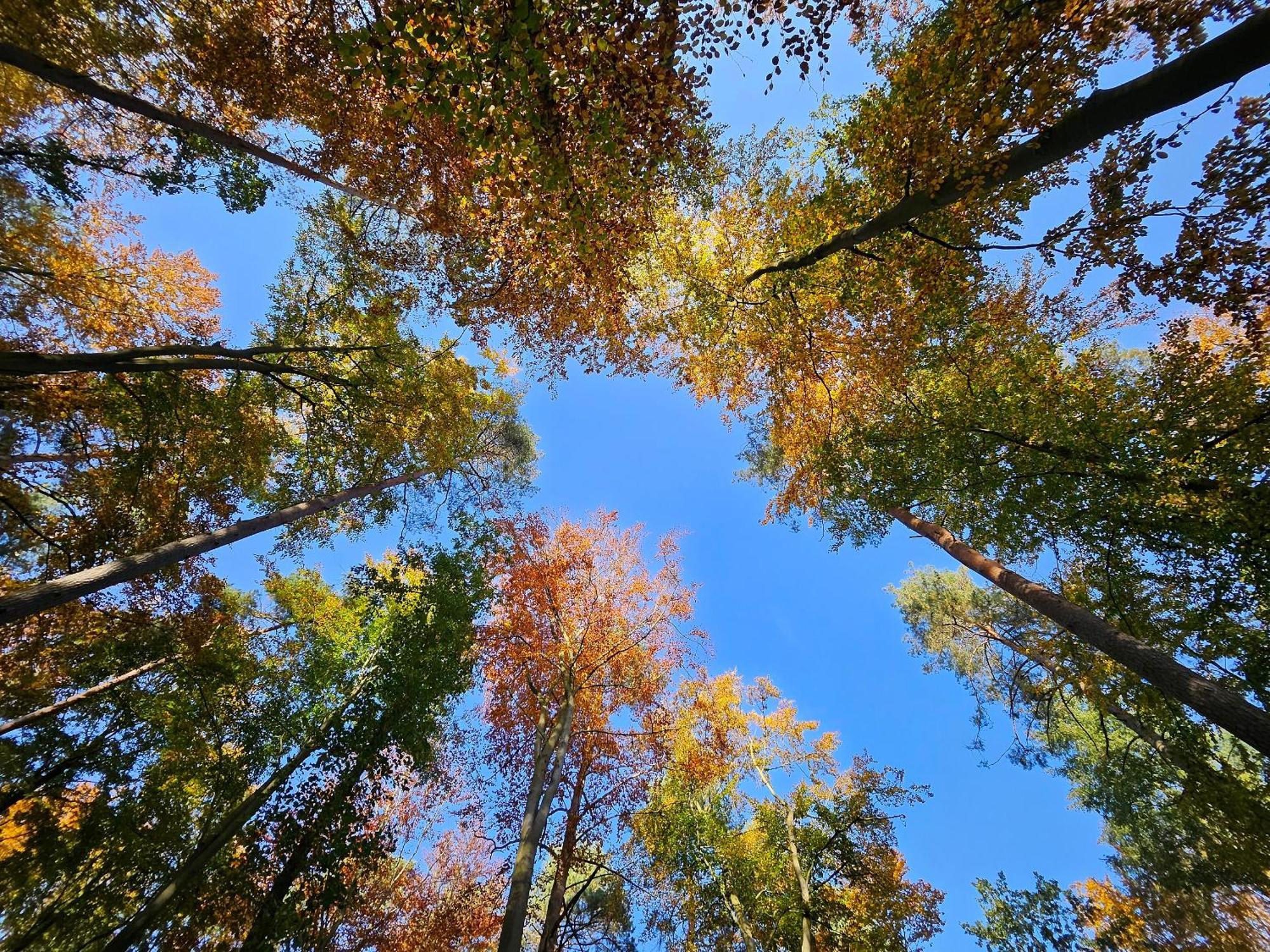 Fewo Am Wald Boek ภายนอก รูปภาพ